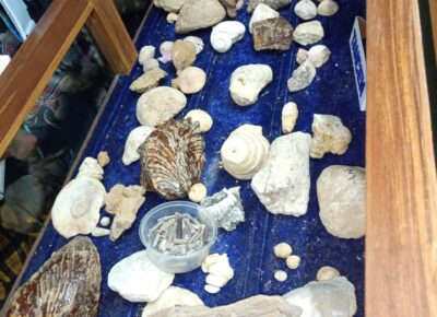 WhatsApp Image 2026-01-11 at 2.41.00 PM